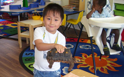little boy holding tortoise